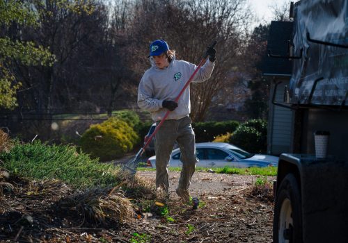 DSC_0950-NEF_DxO_DeepPRIMEXD-min-scaled