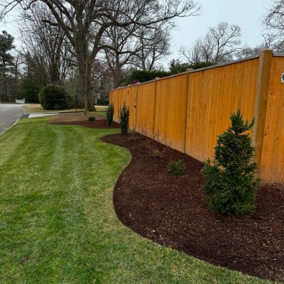 Lawn Care Picture